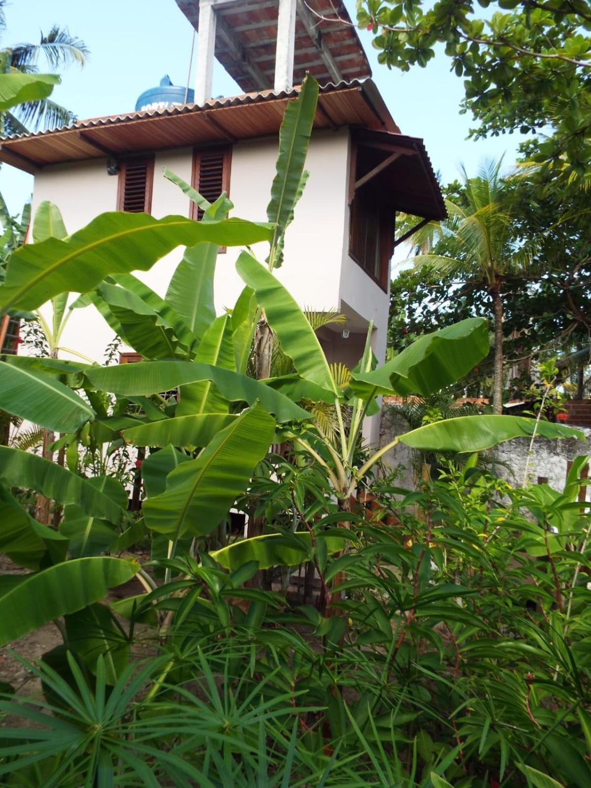 Velha Boipeba Jardim Uixaヴィラ エクステリア 写真